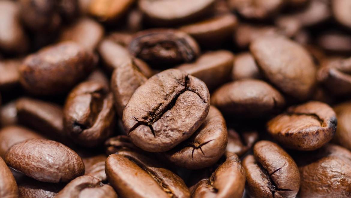 Café Geisha: Un viaje sensorial inolvidable.